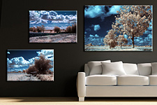 Author's photos on canvas